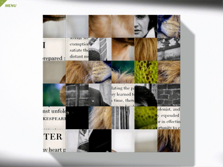 Esquire's The Hardest Puzzle Ever screenshot-4