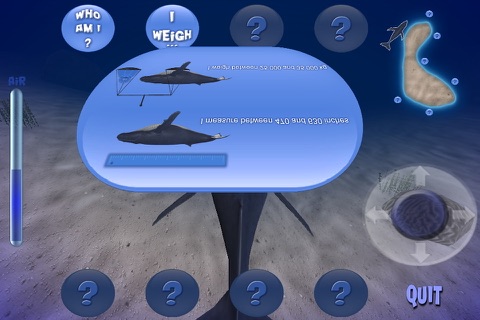 Humpback Whale Free screenshot 4