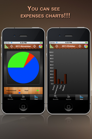 Expenses Tracker Lite screenshot 2