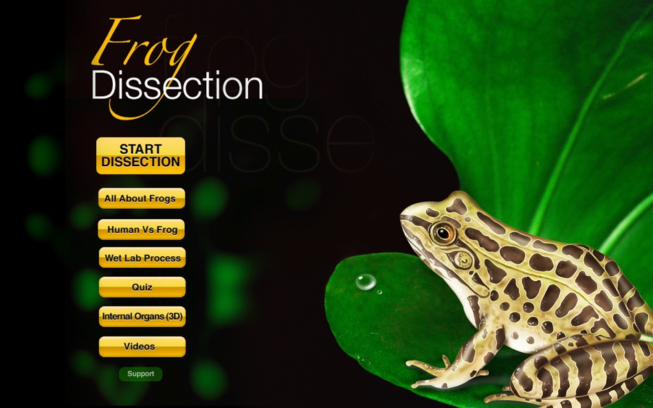 Frog Dissection - 1.0 - (macOS)