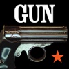 Gun