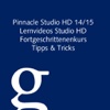 Videotraining für Pinnacle Studio HD 14 und 15 Vol. 2 für Fortgeschrittene