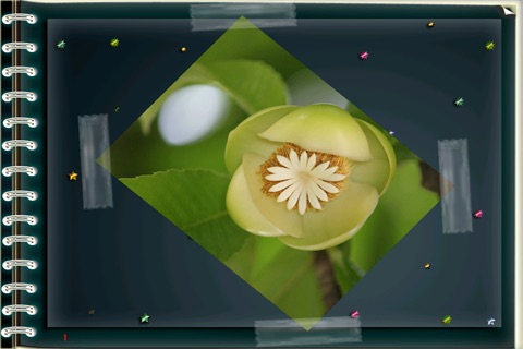 Tricky Tiles Mini screenshot-4