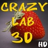 Crazy Labyrinth 3D HD