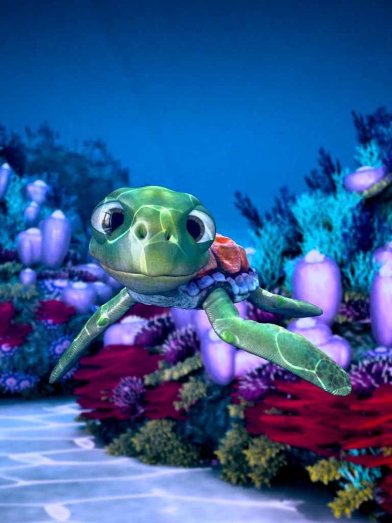 Talking Turtle HD