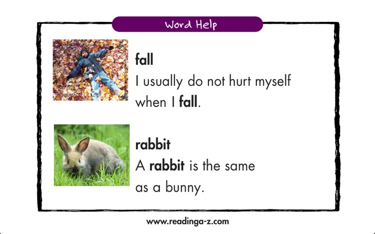 The Sky is Falling - LAZ Reader [Level D–first grade]