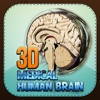 3D Medical Human Brain