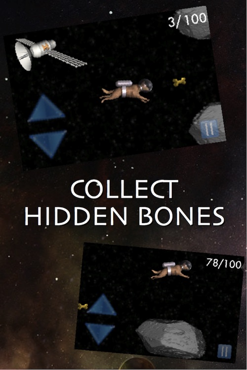 The Space Dog screenshot-3