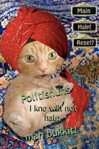 Swami Paws the LOLcat Fortune Teller