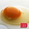 iEgg HD