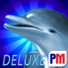 Dolphins Dice Slots Deluxe