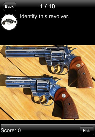Gun Quiz