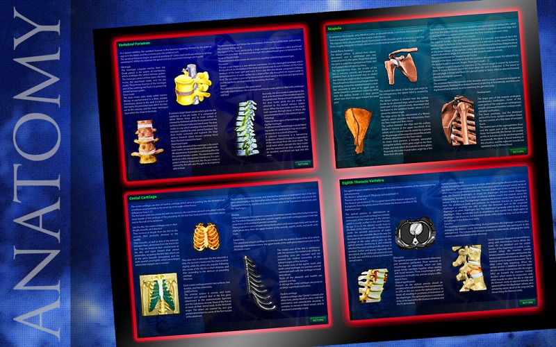 3D Chest Bones thumbnail 3