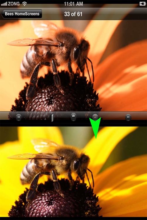 Colorful HomeScreens screenshot-4