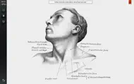 Grays Anatomy Student Edition iphone bilder 2