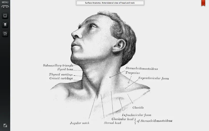 Скриншот Grays Anatomy Student Edition на iPhone 3