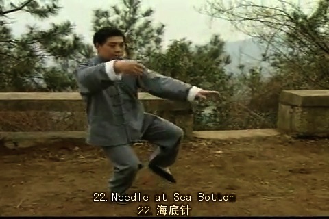 Taijiquan screenshot-4