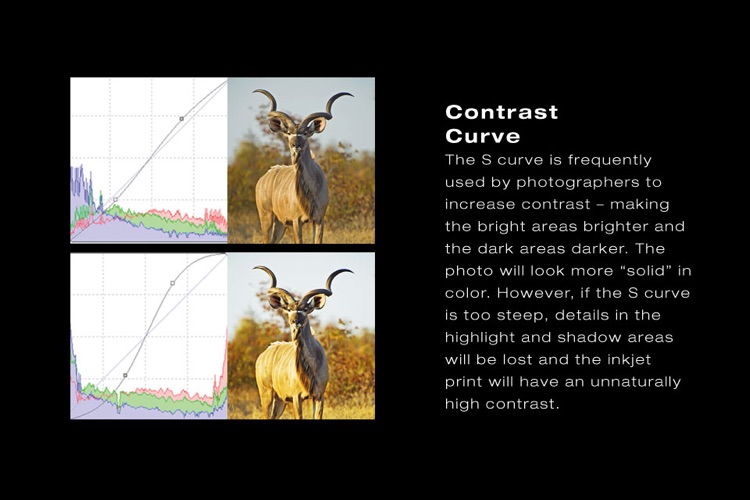 CANON PIXMA PRO PRINTER screenshot-3