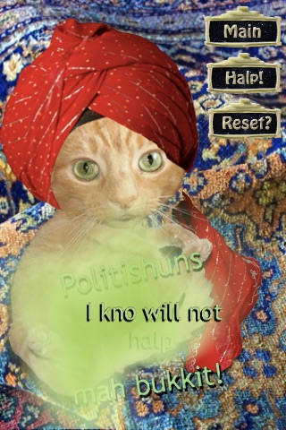 Swami Paws the LOLcat Fortune Teller