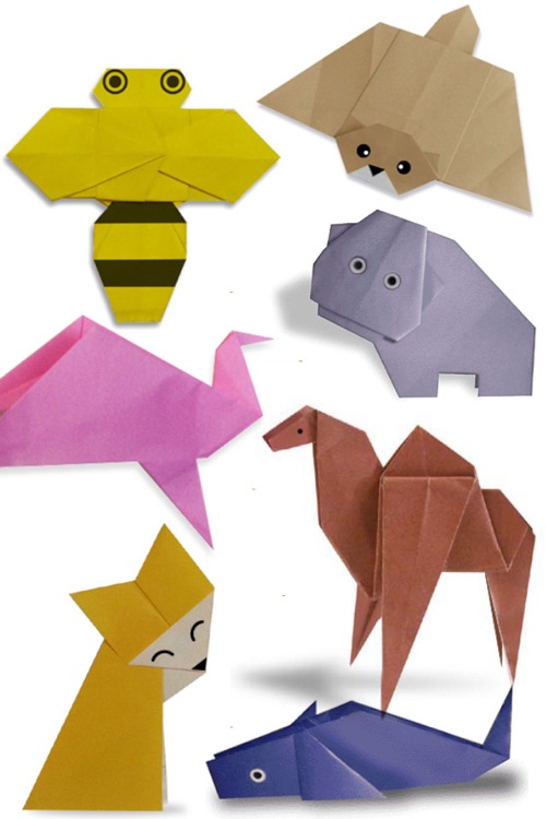 Boutique Origami Study  Step by Step