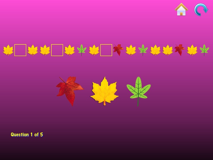 Pattern Game screenshot-4