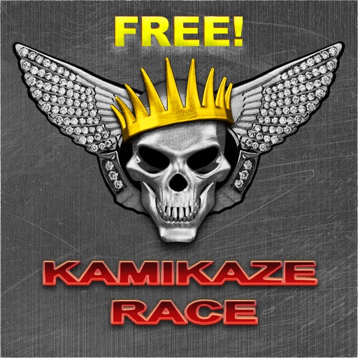 Kamikaze Race - Free Version