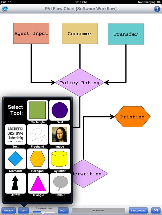 PVI - Flow Chart screenshot-0