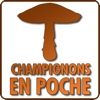 Champignons en poche Free