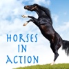 Horses in Action