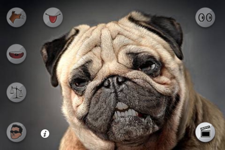Talking Puppy screenshot-3