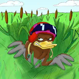 Jet Ducks app icon