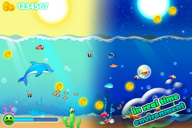 Pocket Dolphin Racing