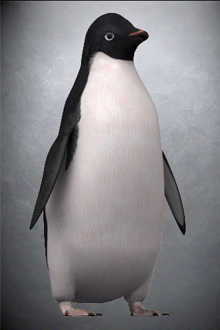 WWF Adélie Penguin