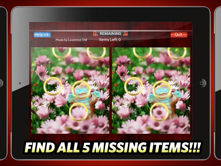 Picture Hunt HD: Find the difference