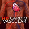 HD Cardio Vascular System