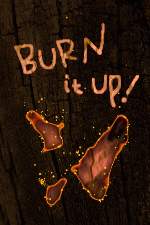 Burn It Up!