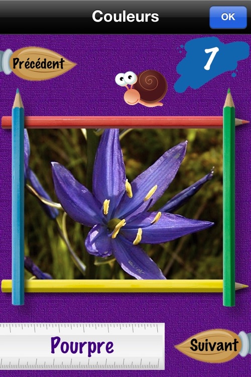 Toddler Time! - French