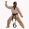 Taekwondo Pattern 6