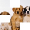 Beautiful Puppies Puzzle