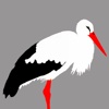 My White Stork