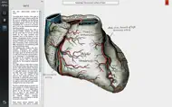 Grays Anatomy Student Edition iphone bilder 1