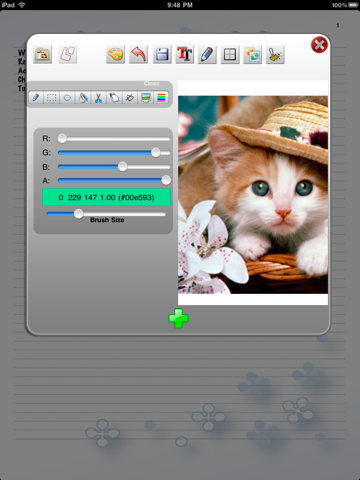 notebook for ipad ipad capturas de pantalla 4