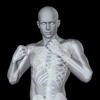 360 Anatomy for Artists - Male Figure