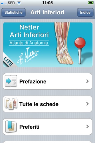 Netter Flashcards: Arti Inferiori LITE