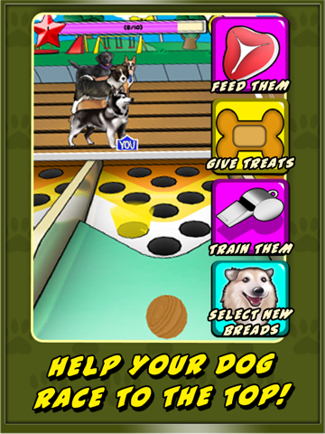 Dog Racer for iPad screenshot 4