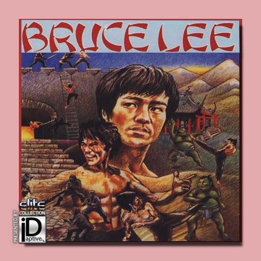 Bruce Lee icon