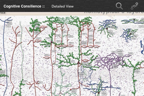 Cognitive Consilience