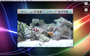 reef aquarium hd iphone resimleri 1