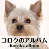 Koroku Album (Dog Photos)