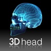 3D head